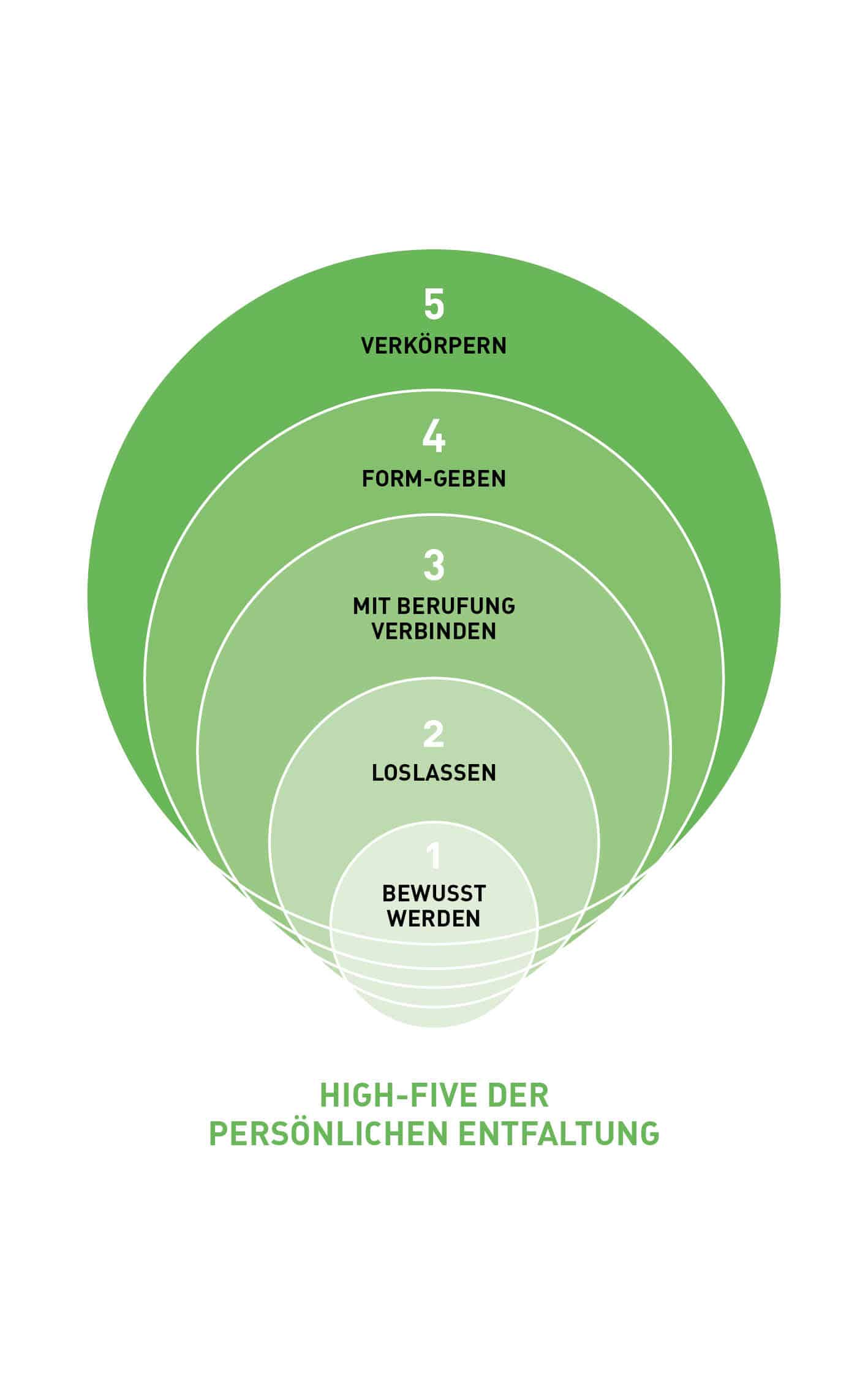 Matthias Strolz - high-five